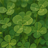 Green Clover